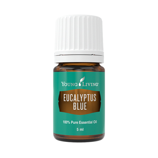 Eucalytus Blue essntial oil