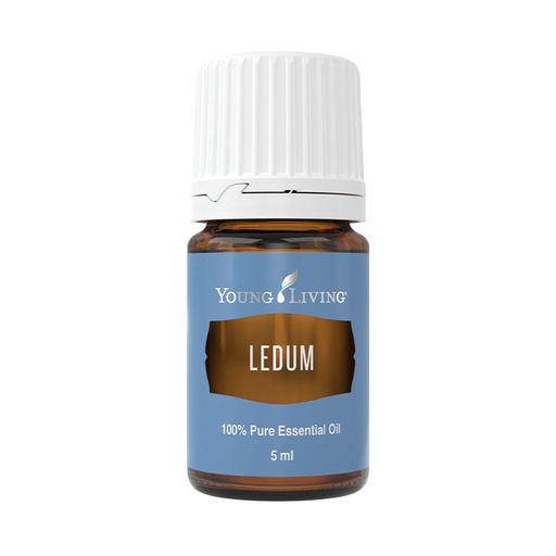 Ledum Essential oil