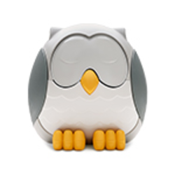 Feather Owl diffucer