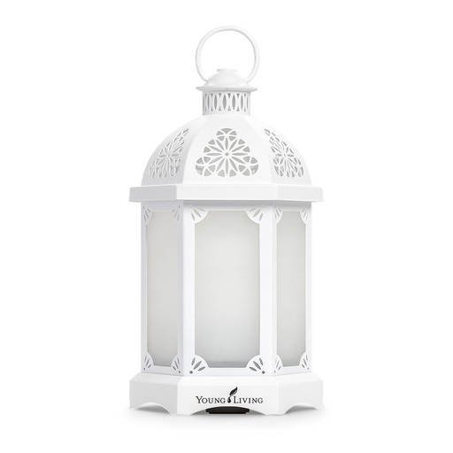 Lantern young living