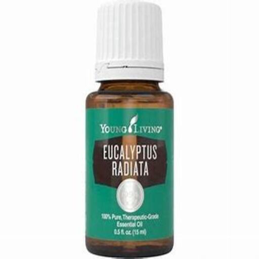 Eucalytus Radiata Essential oil