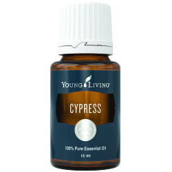Cypress Essential Oil