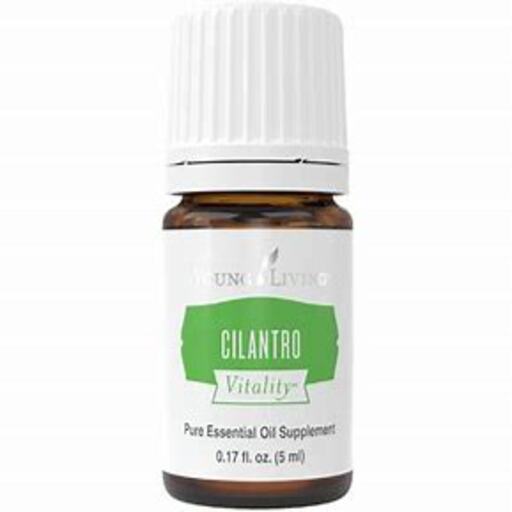 Cilantro Essential Oil Flavoring